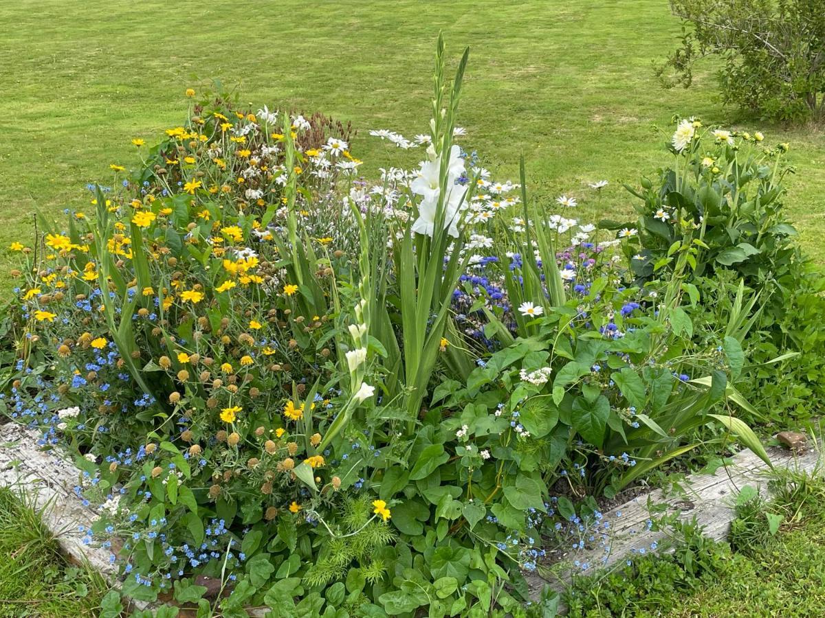 Holiday home Foxglove Glastonbury
